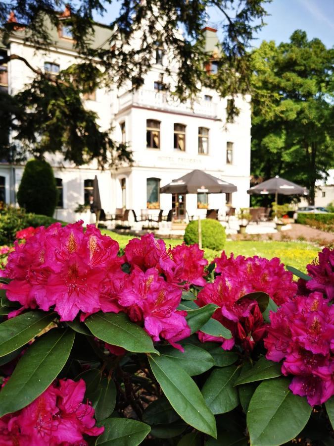 Hotel Fryderyk Duszniki Zdrój Eksteriør bilde